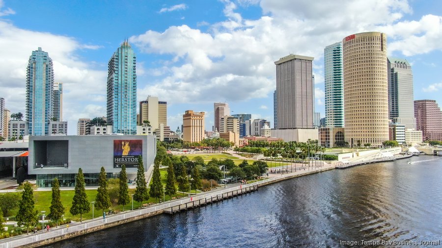 AHA BLS, ACLS, and PALS certification in Tampa, Florida