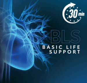 30-minute American Heart Association BLS skills session with Citywide CPR.