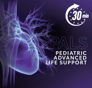 30-minute American Heart Association PALS skills session with Citywide CPR.