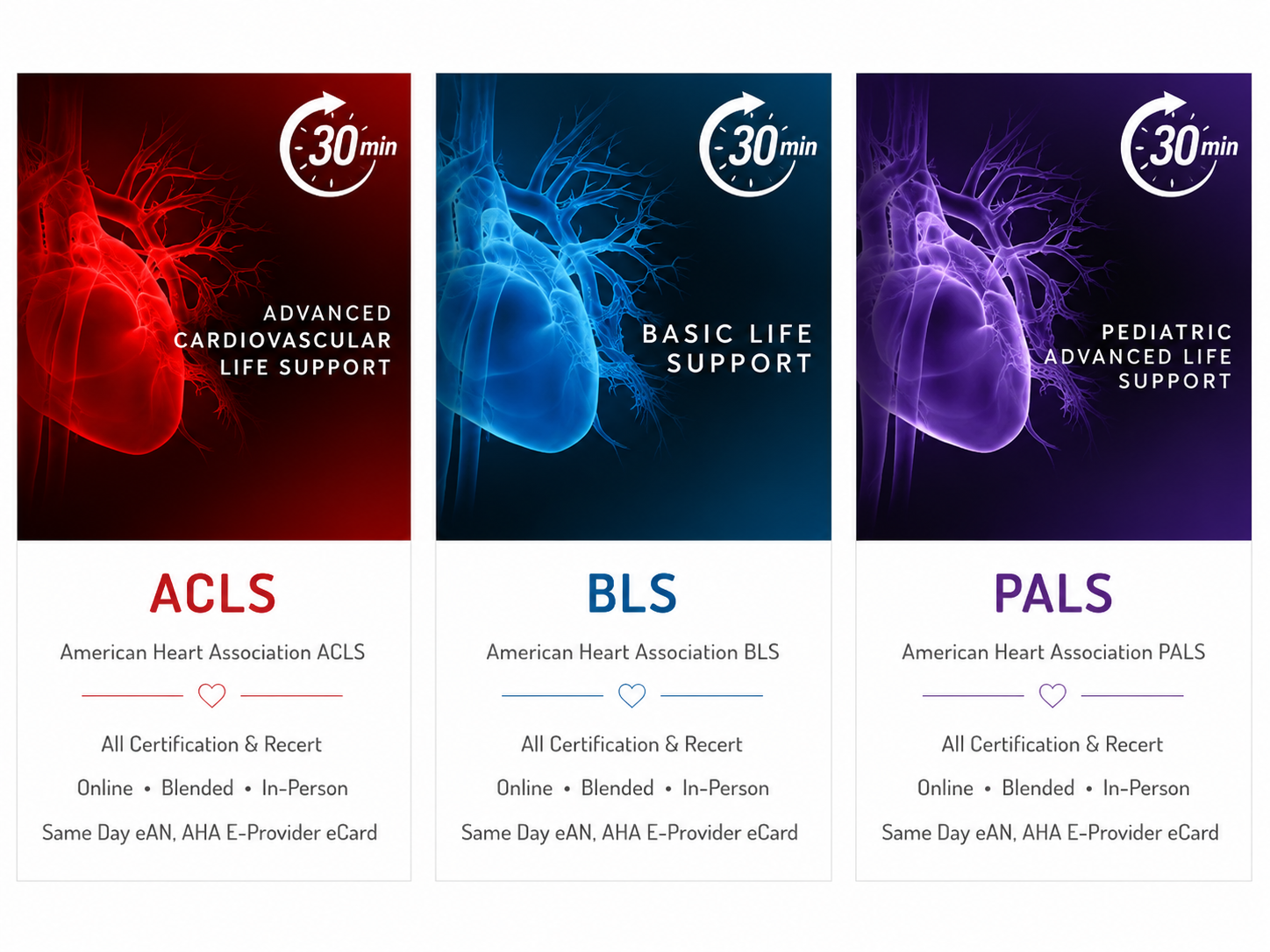 BLS, ACLS and PALS certification bundle from Citywide CPR